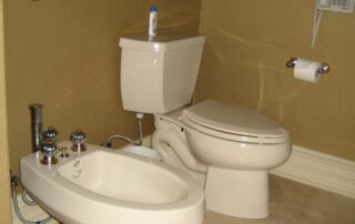 Toilet and Bidet Install