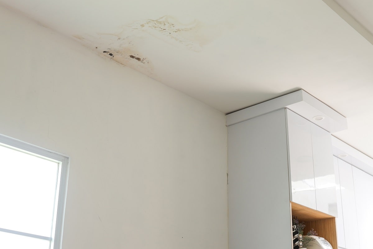 water stained ceiling